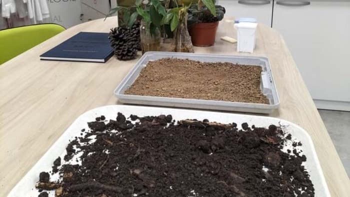 Les défis des sols en milieu urbain