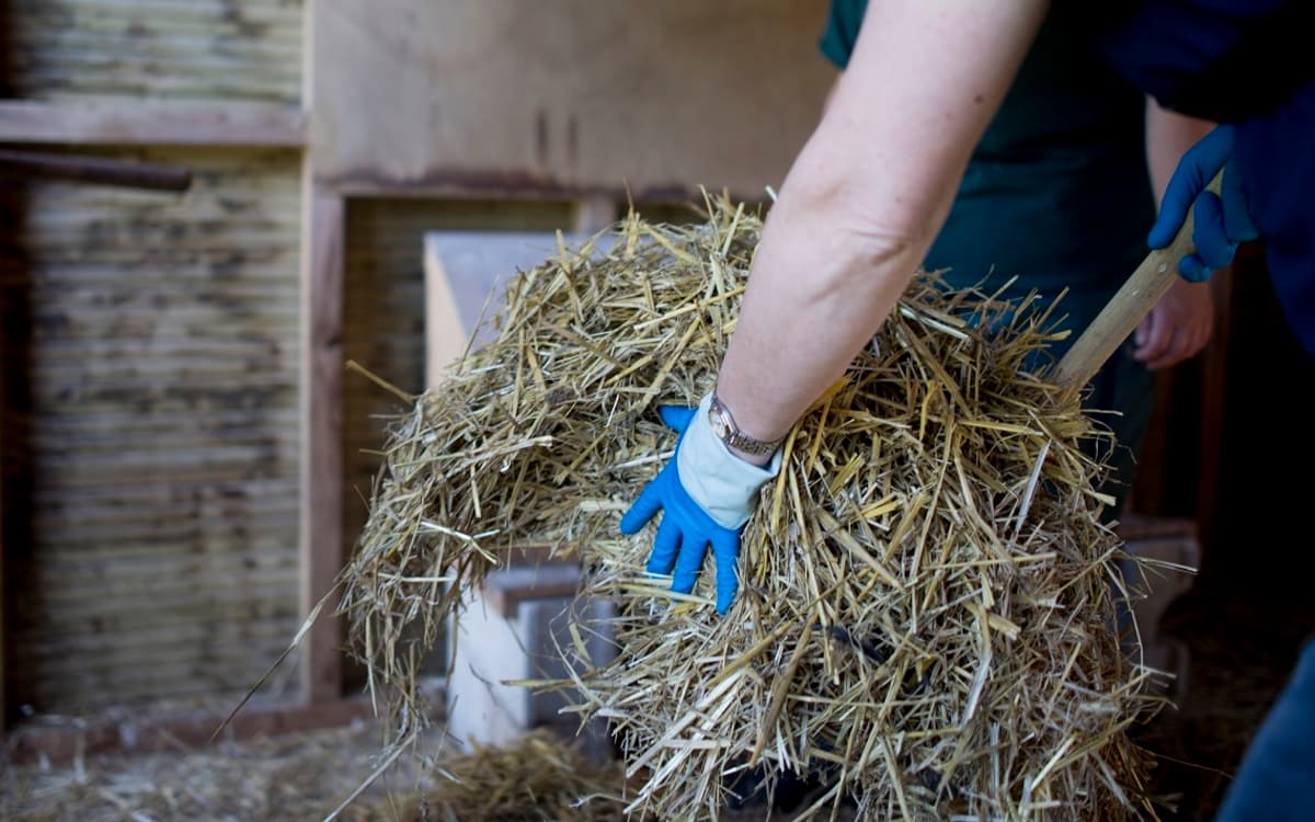Soigneur d'un jour à la Ferme de Paris