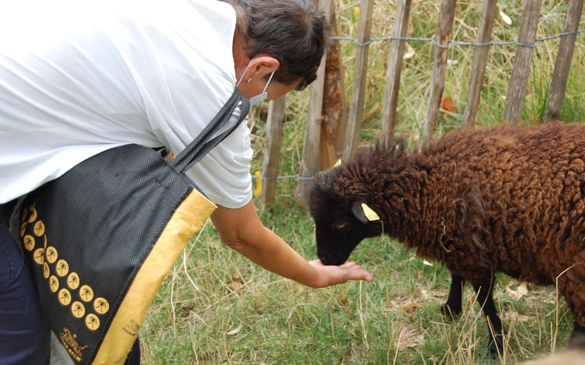 Soigneur d'un jour à la ferme pédagogique René Binet (18e)