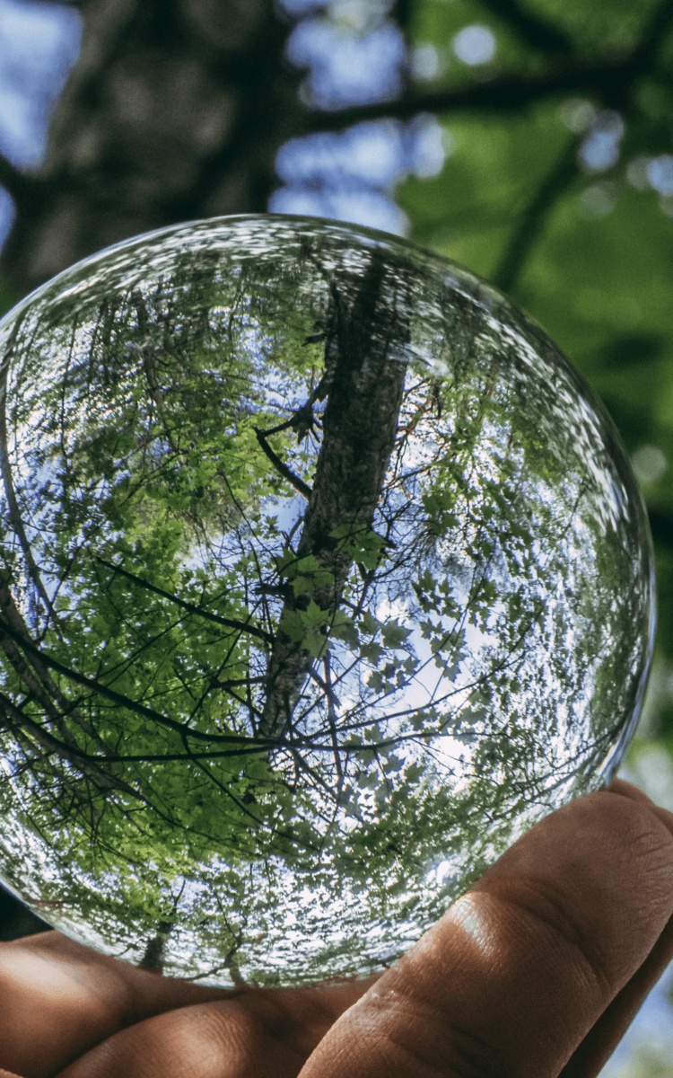 Des exemples inspirants de développement durable - discussion