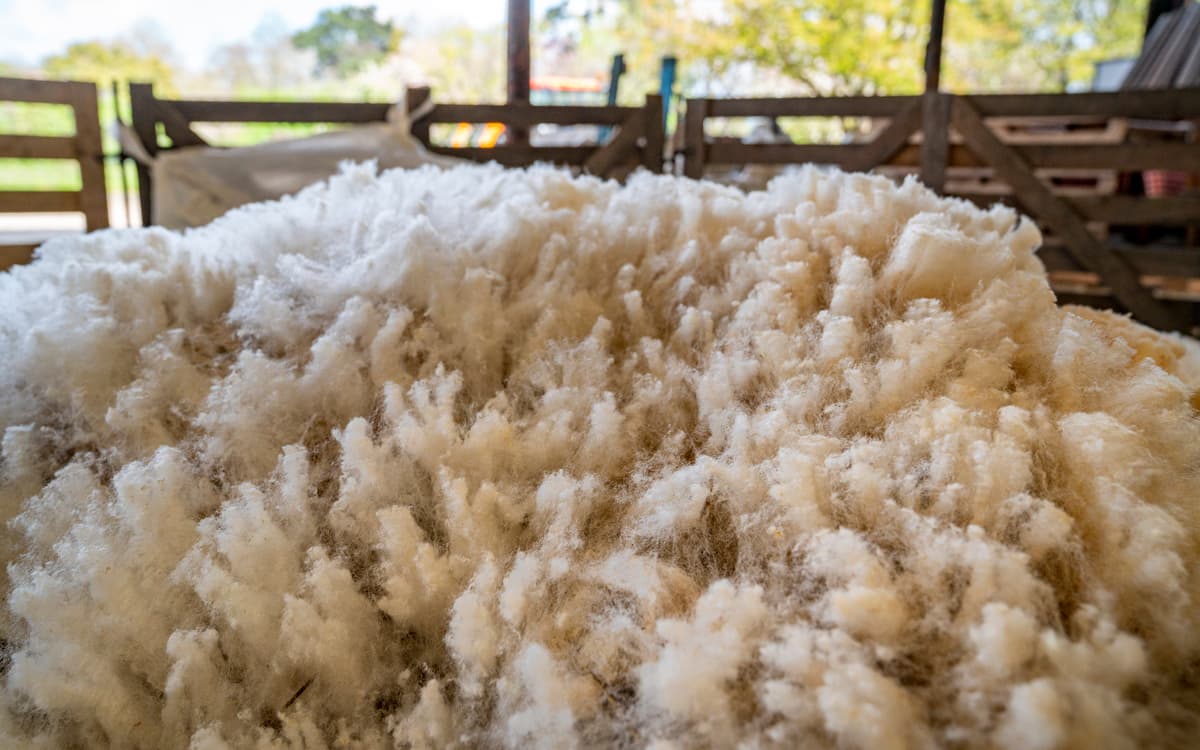 Les vacances de printemps à la ferme