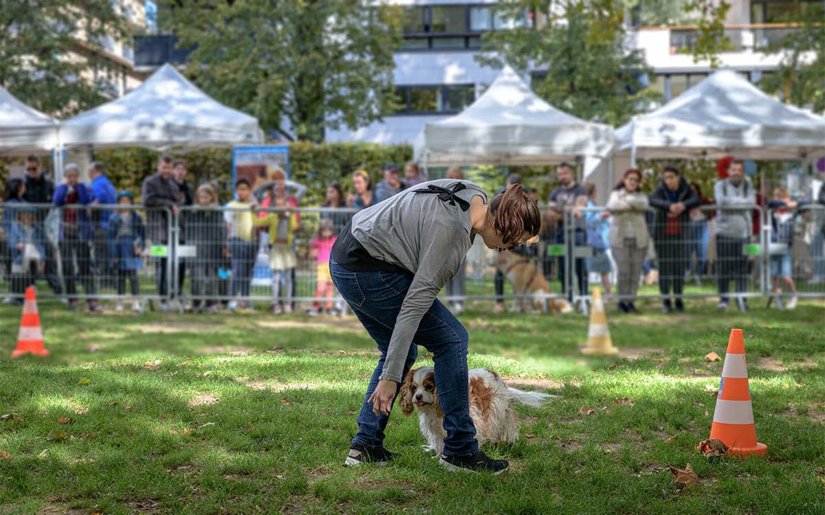La Fête de l'animal en ville est de retour