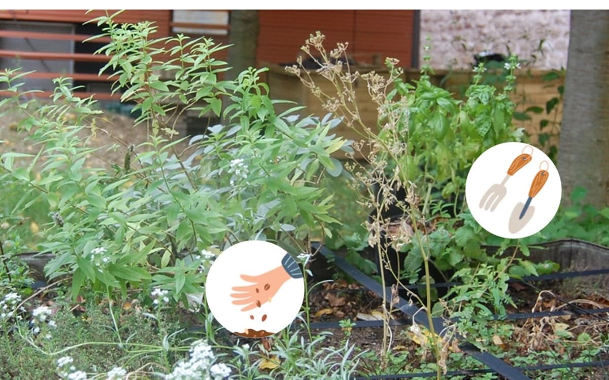 Mercredi créatif : les mains dans la terre