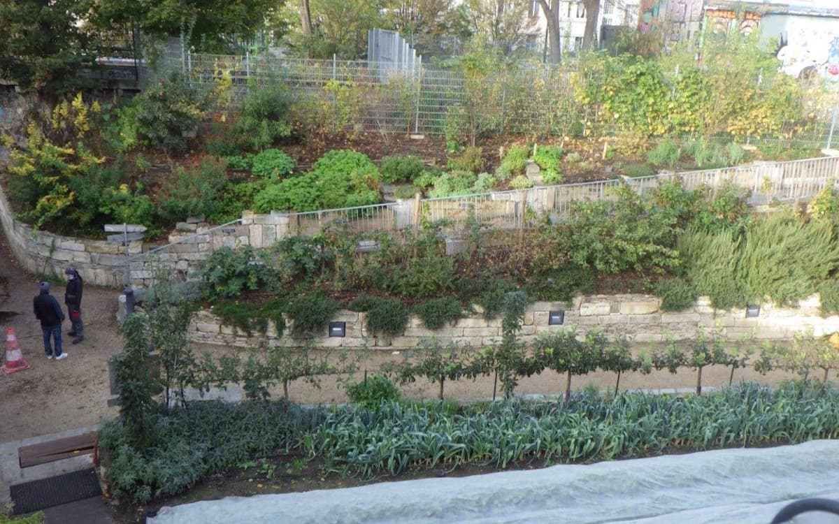 Visite Ferme du Rail et jardins partagés : productions alimentaires dans le 19ème arr.