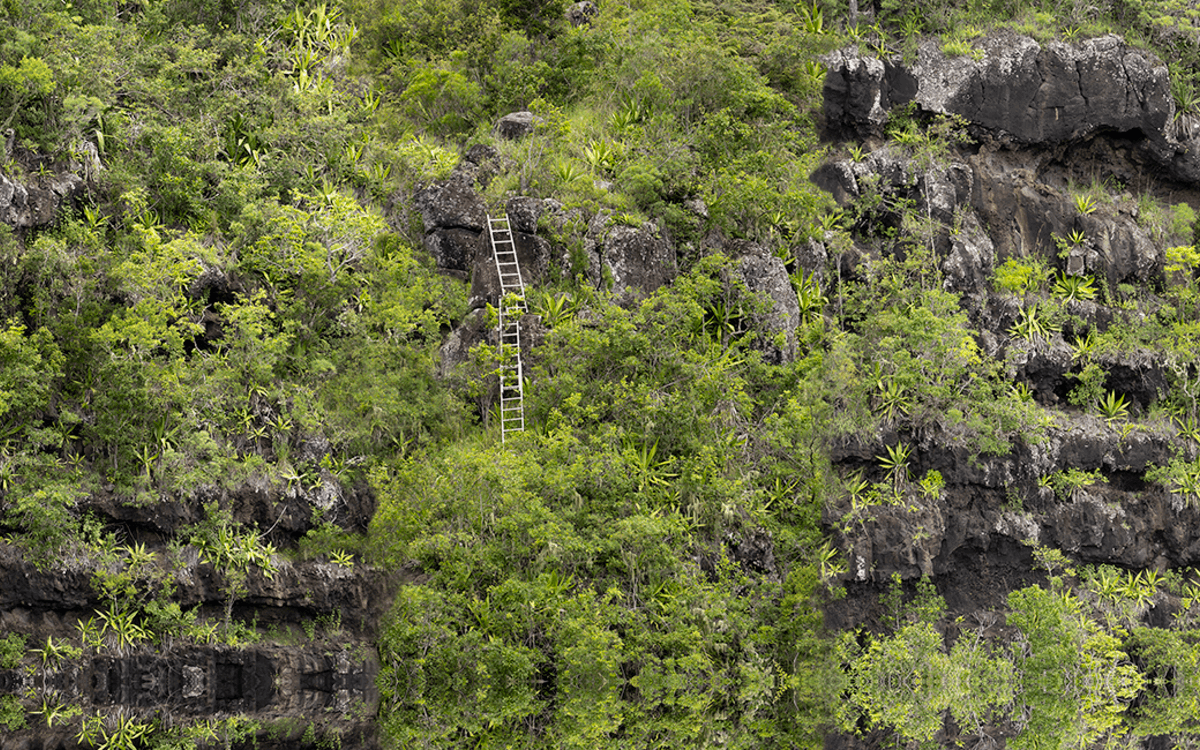 « Voir le Vivant Autrement » une exposition dans le jardin et les serres d'Auteuil