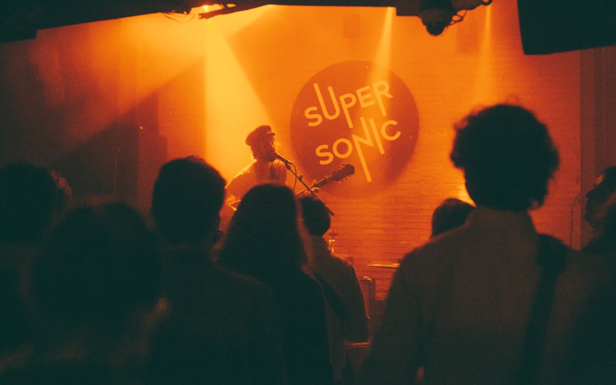 The Fleshtones en concert (côté Records)