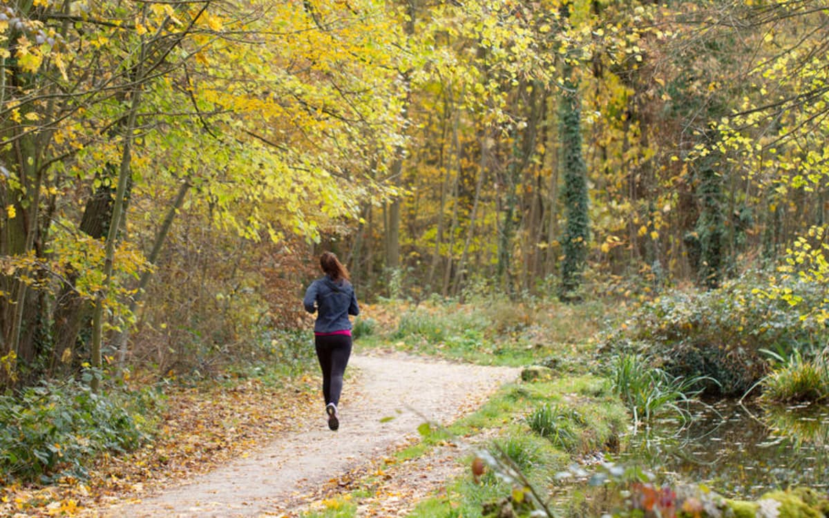 Virades parisiennes de l'espoir 2026