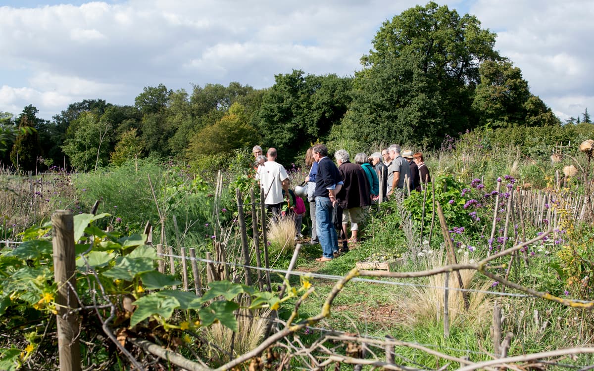 Chantier participatif à la Ferme de Paris