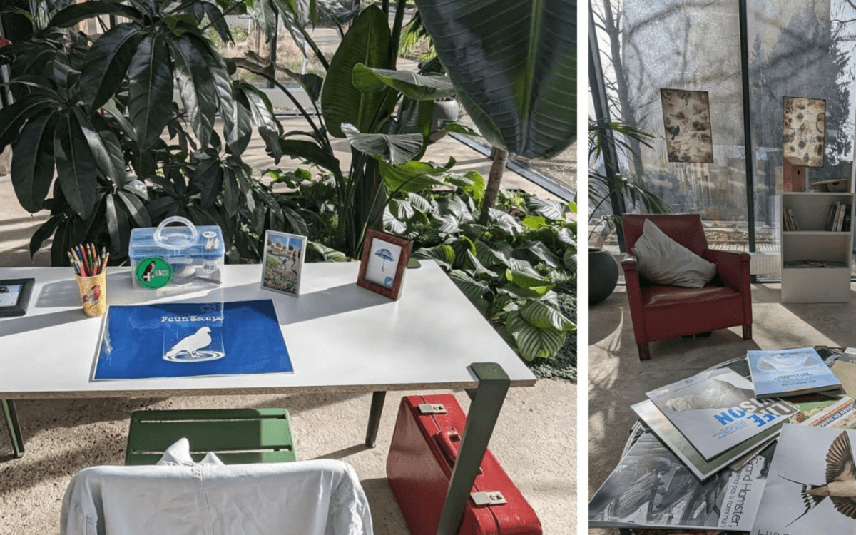 Escape game : Faun'escape !