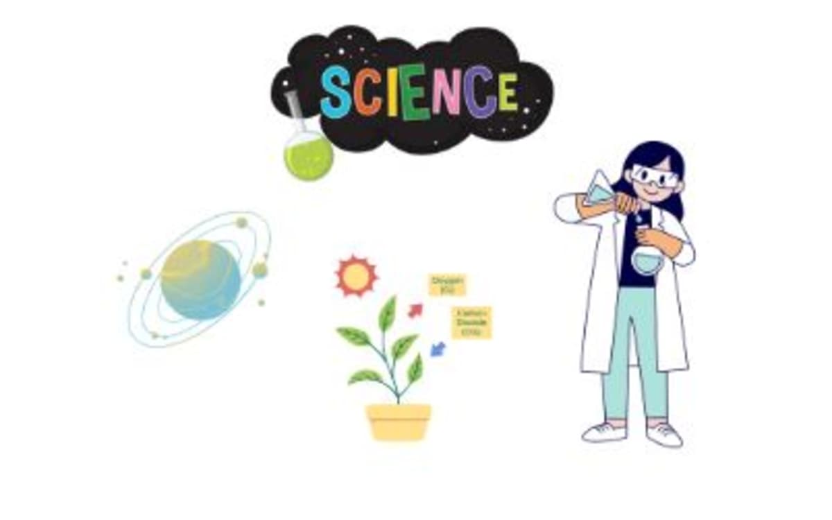Graine de science : Apprendre à coder… sans écran !