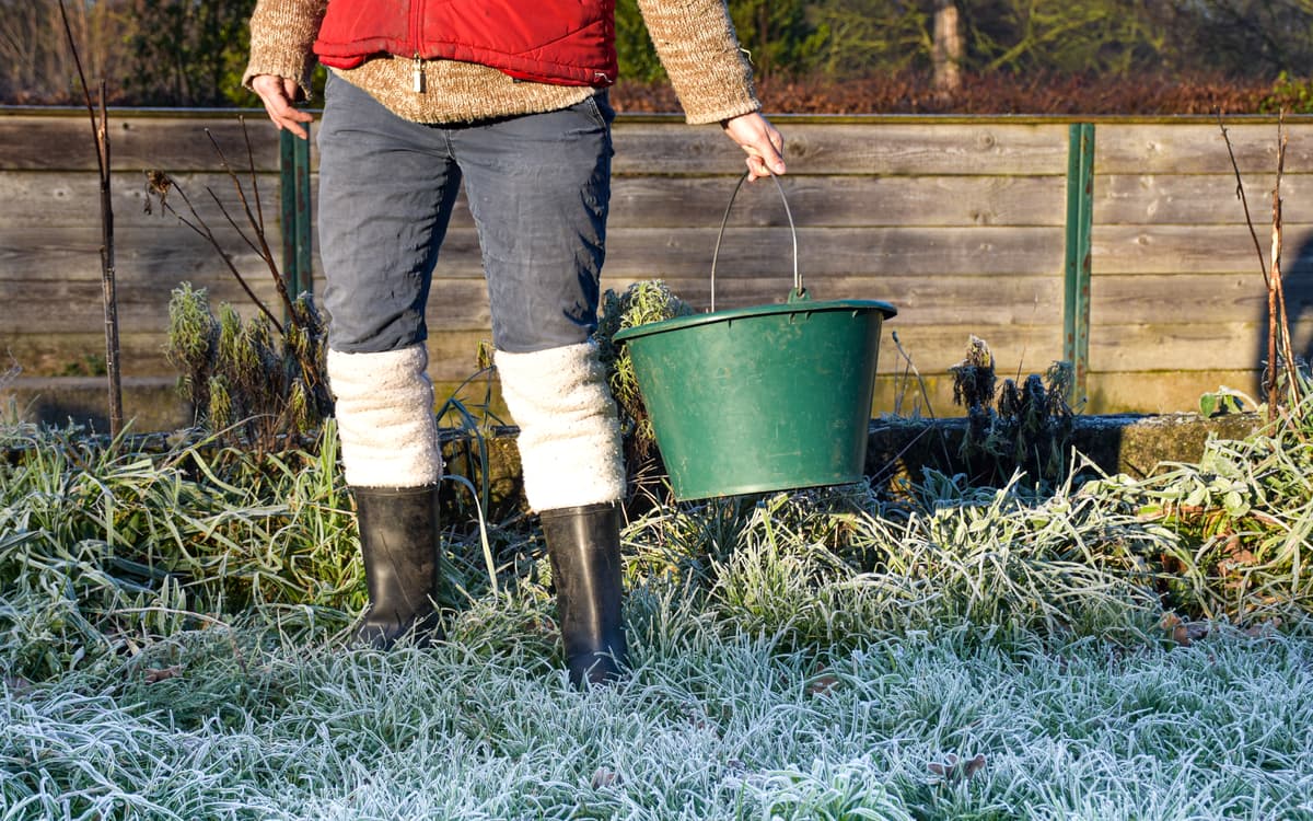 Soigneur d'un jour à la Ferme de Paris