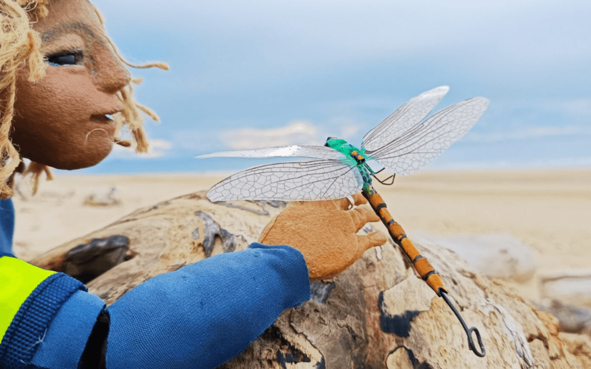 Spectacle : LA SURFEUSE ET LA LIBELLULE