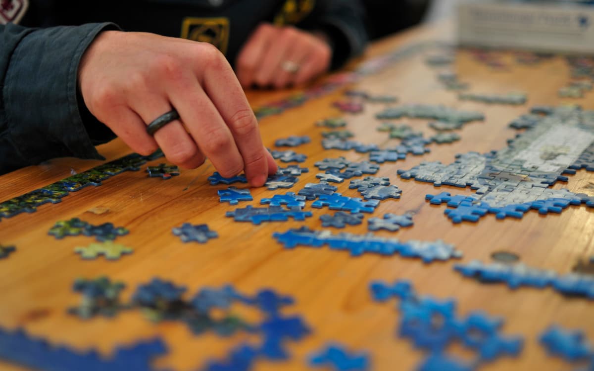 Concours de Puzzle à la bibliothèque Buffon
