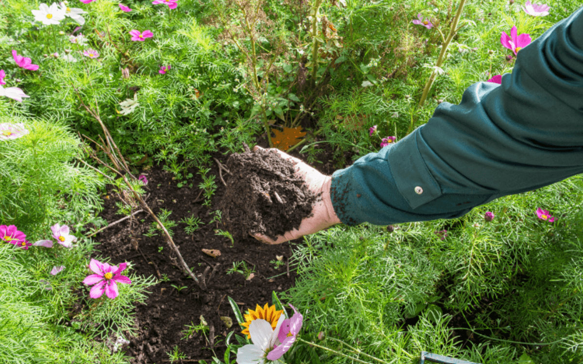 Les samedis du compostage à la maison du jardinage et du compostage
