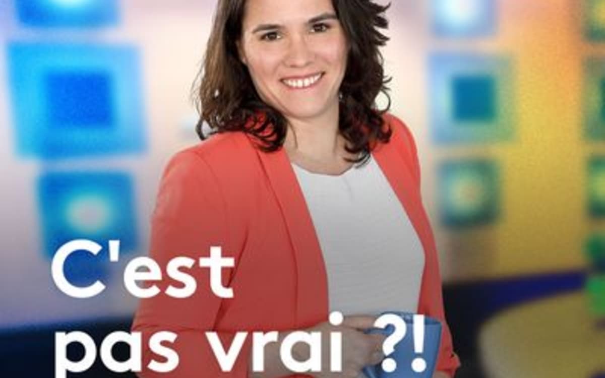 Atelier repérer les arnaques sur Internet