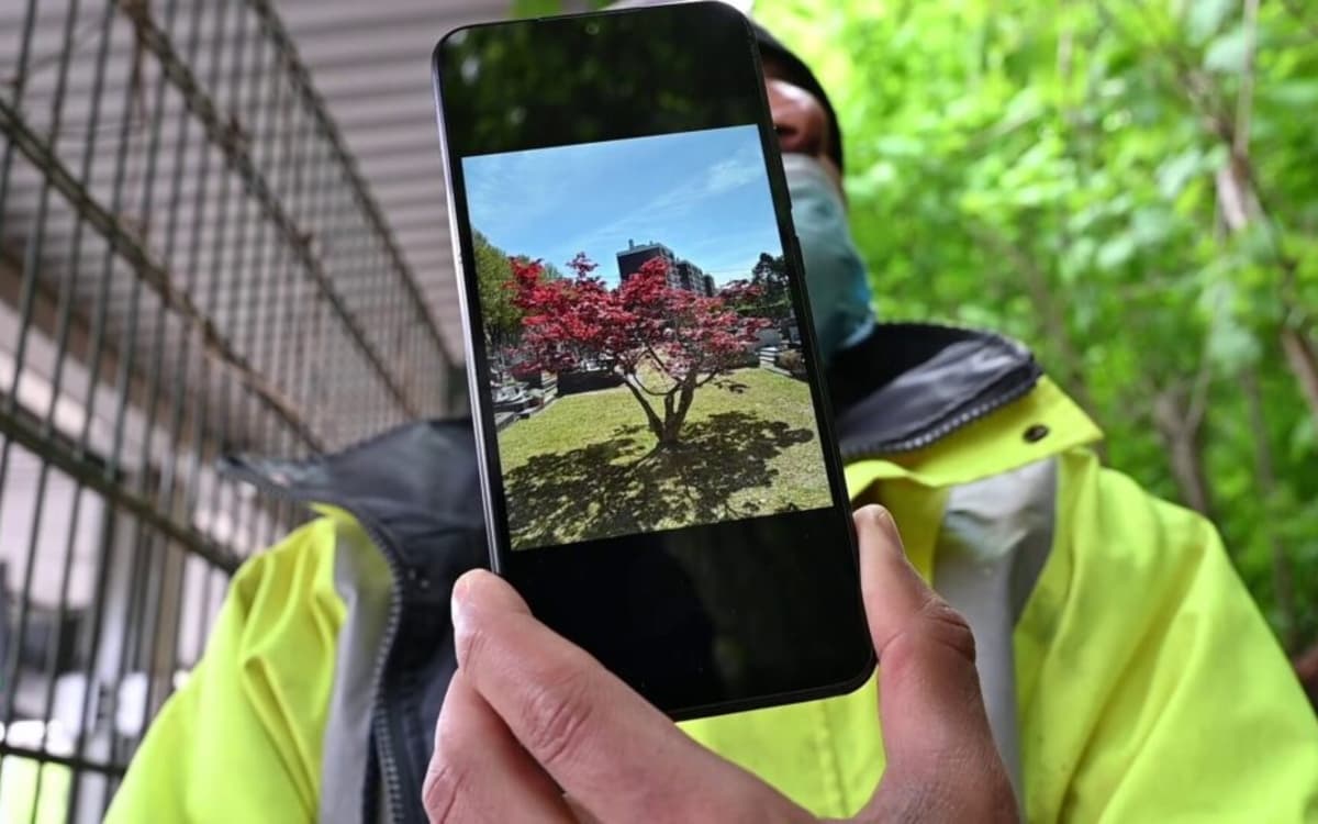 Projection du film documentaire "L'Île des possibles"
