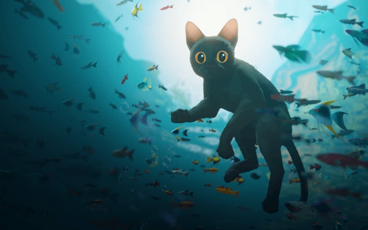 Samedi cinéma : "Flow"