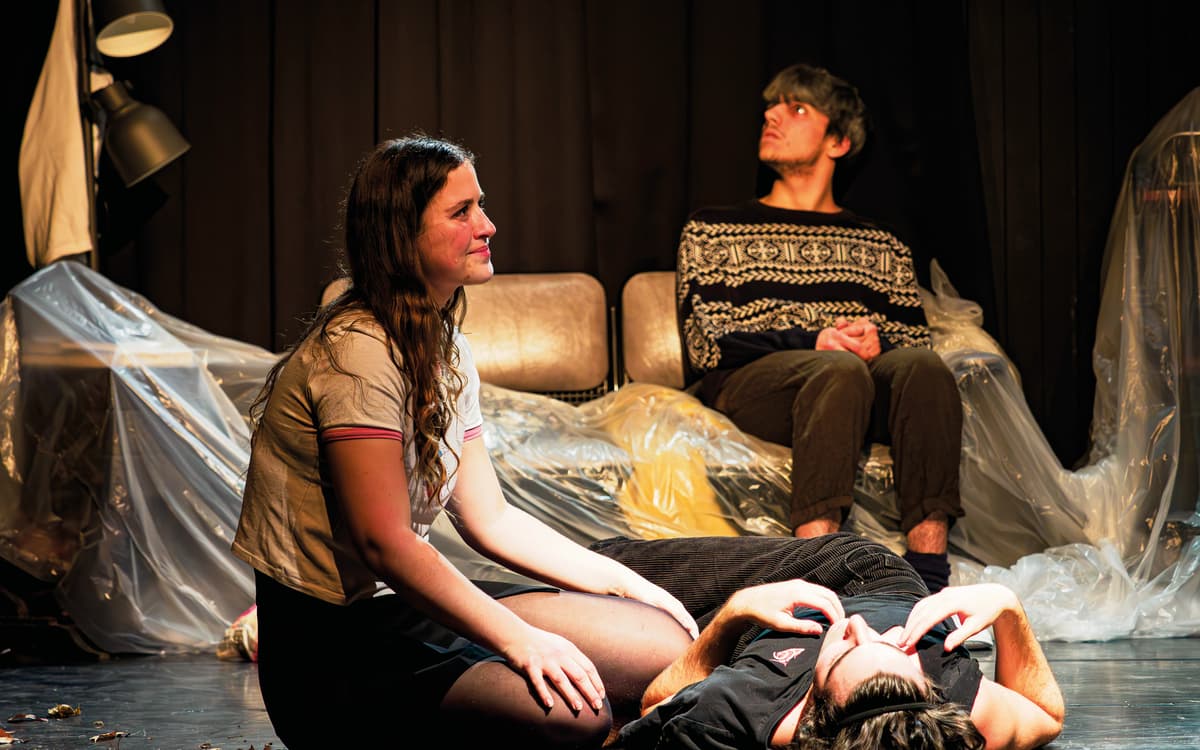 La maladie de la famille M. de Fausto Paravidino