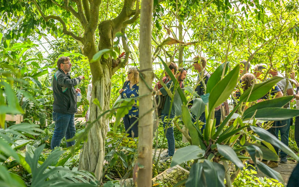 Les Botaniques d'Auteuil, voyage au centre des serres