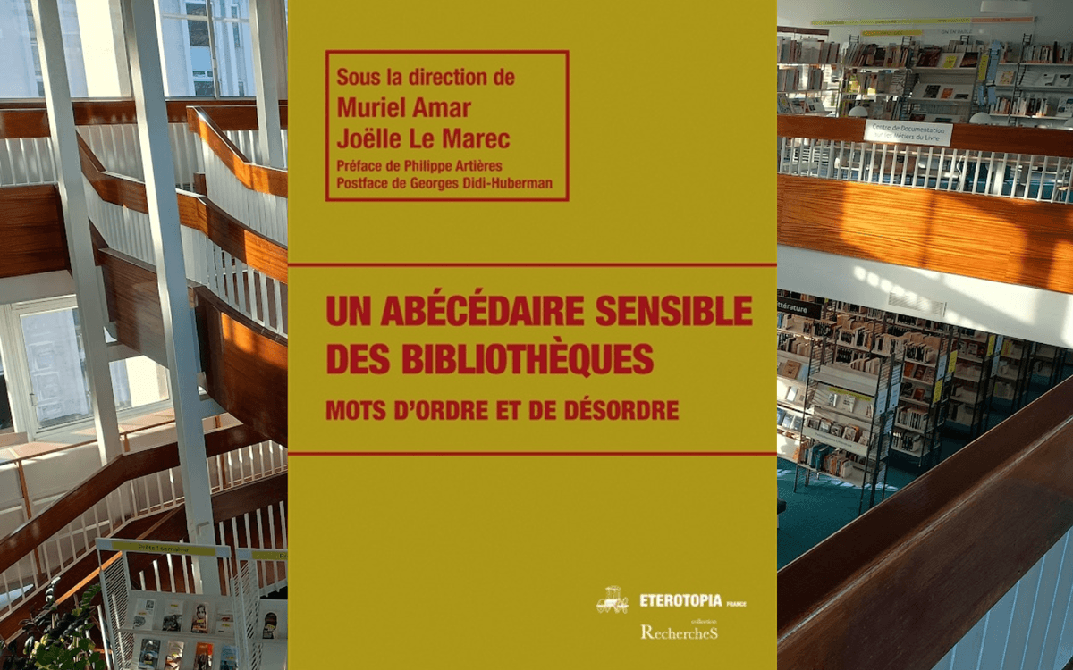 Ordre et désordre : abécédaire sensible des bibliothèques