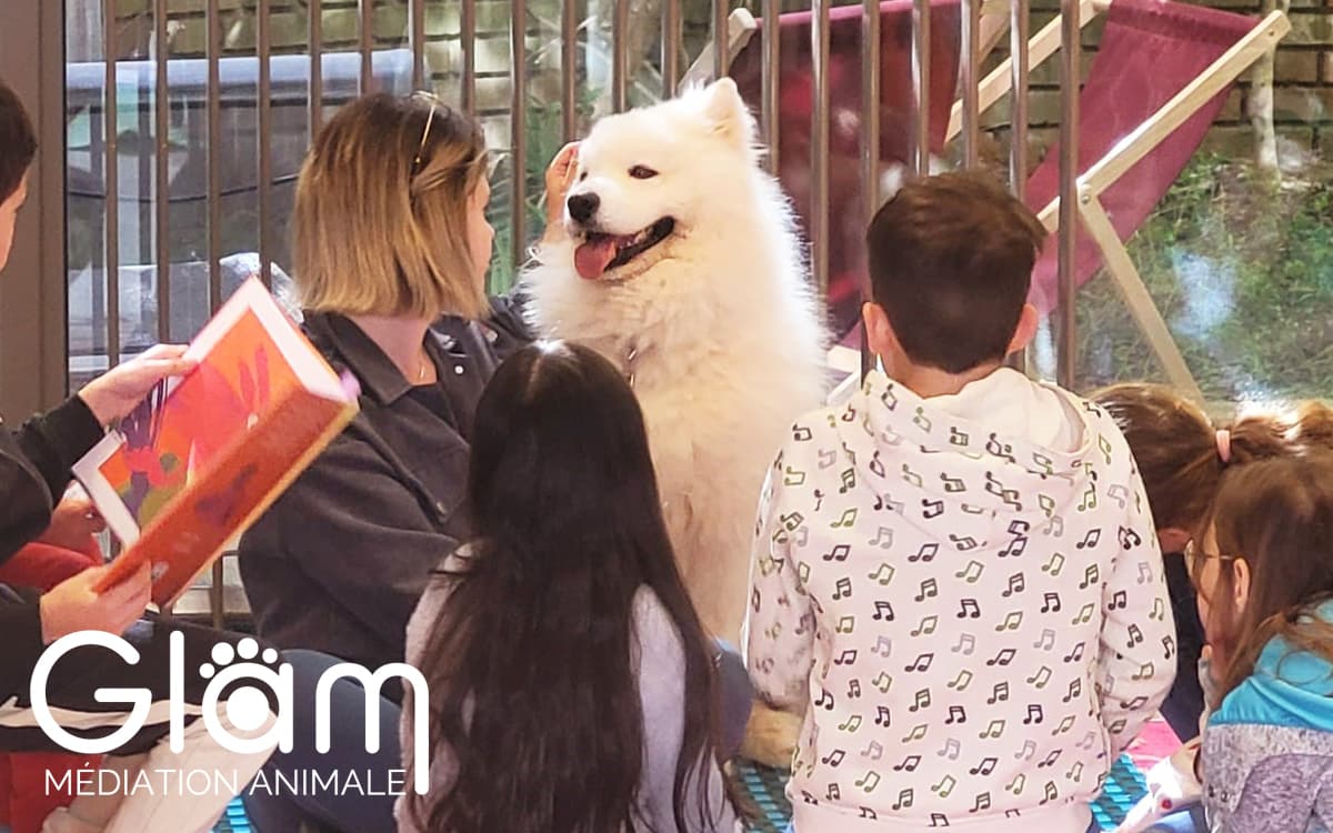 Lire avec un chien : des histoires de wouf !