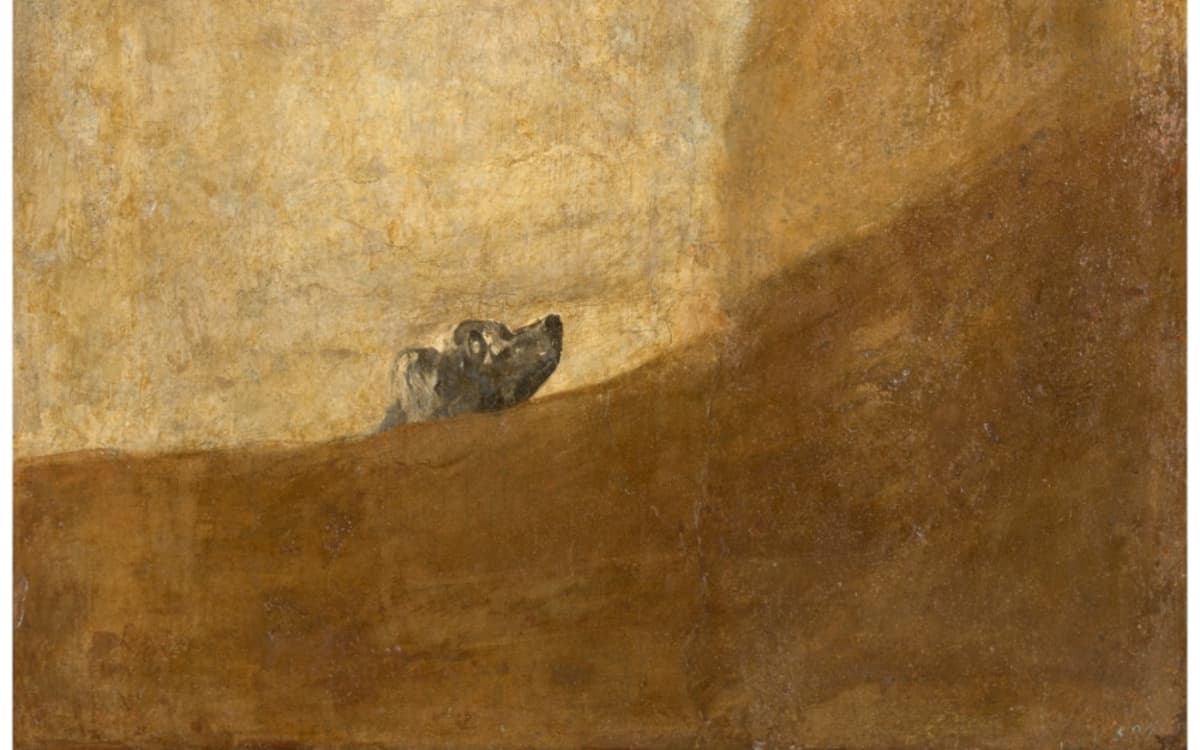 Projet de création internationale bilingue avec La Escuela Superior de Arte Dramático de Castilla y León