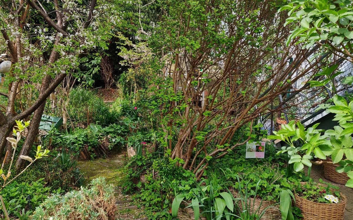 A la rencontre du jardin partagé de l'Univert