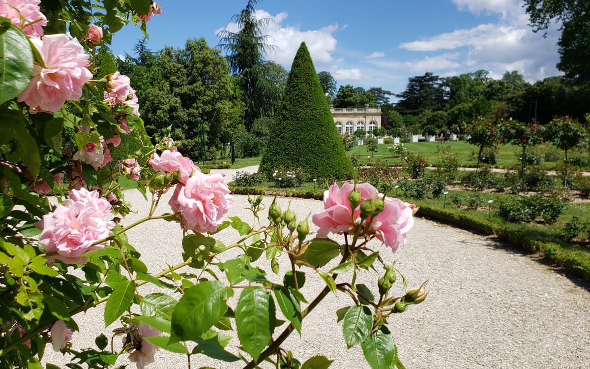 L'Orangerie Sonore au parc de Bagatelle - 5e édition du festival ProQuartet