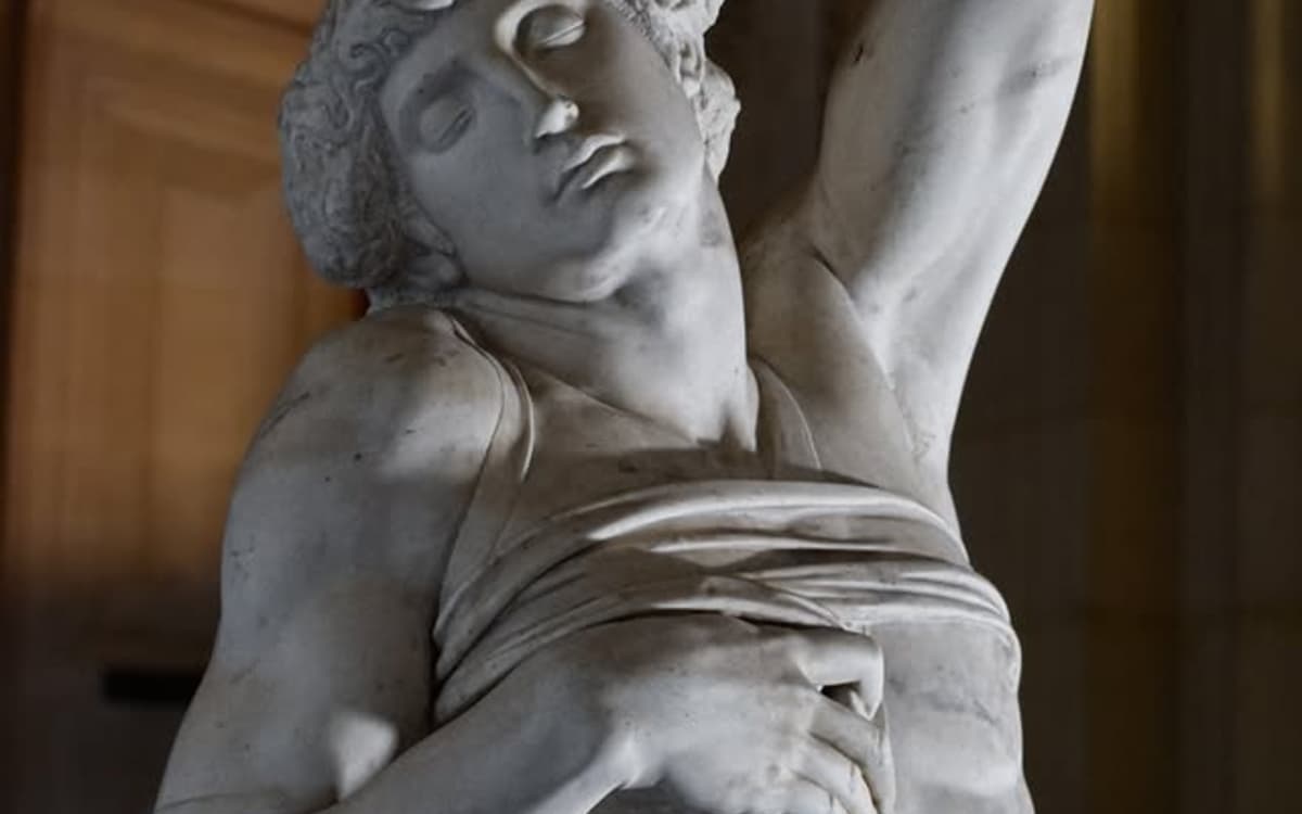 Michel-Ange Rodin. Corps vivants