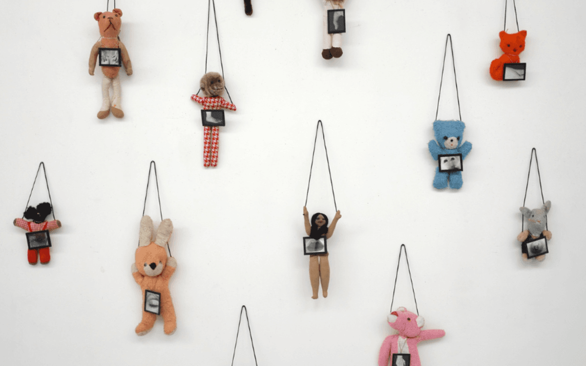 Une hirondelle ne fait pas le printemps. Annette Messager