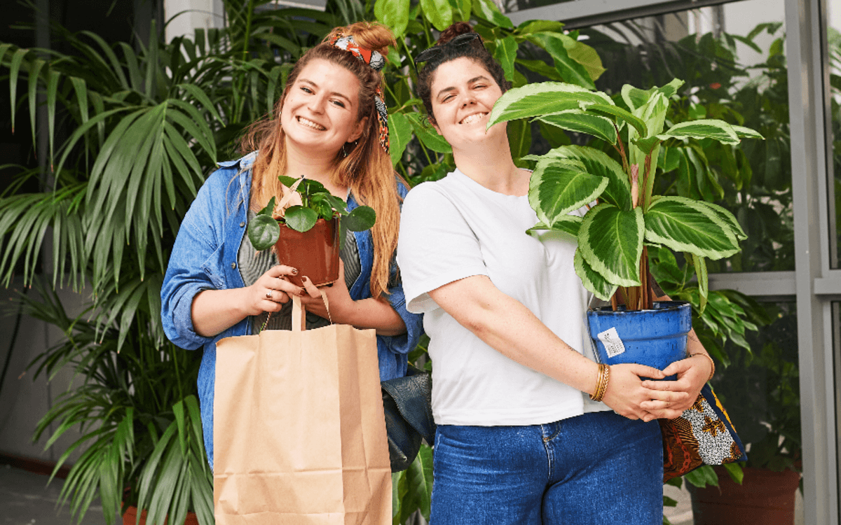 Grande vente de plantes