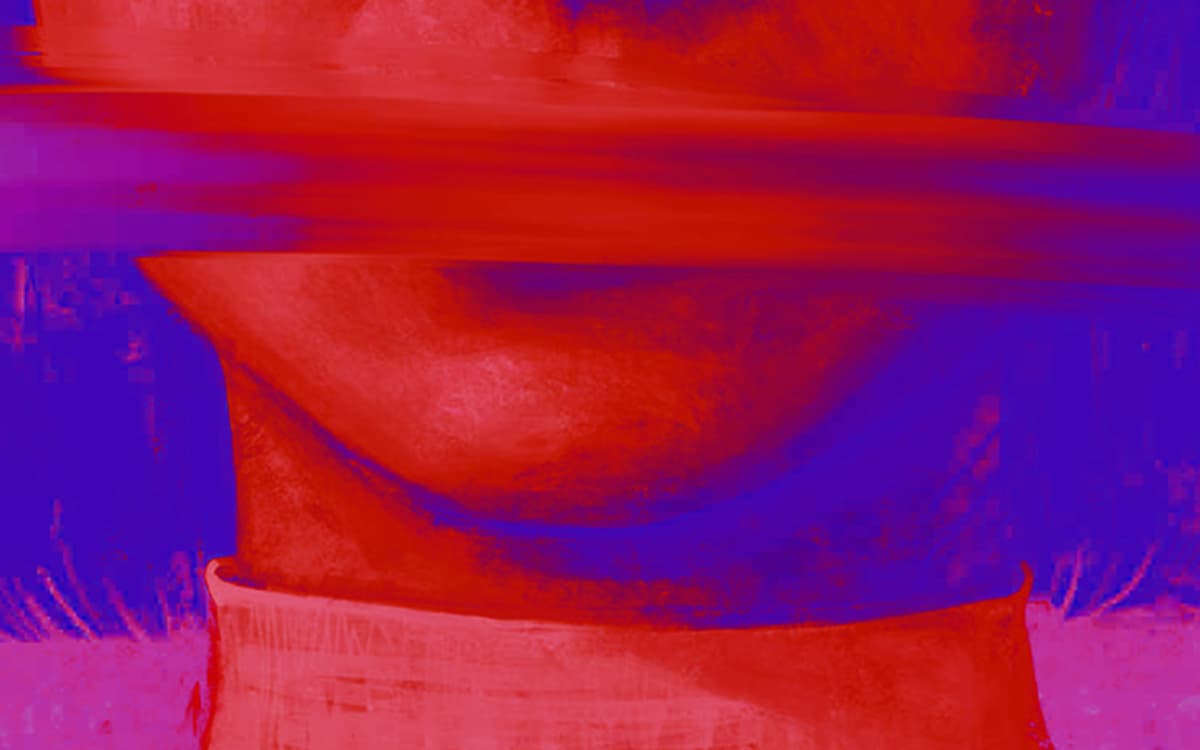 Présentation de l'ouvrage « Maternités autorisées, maternités proscrites »