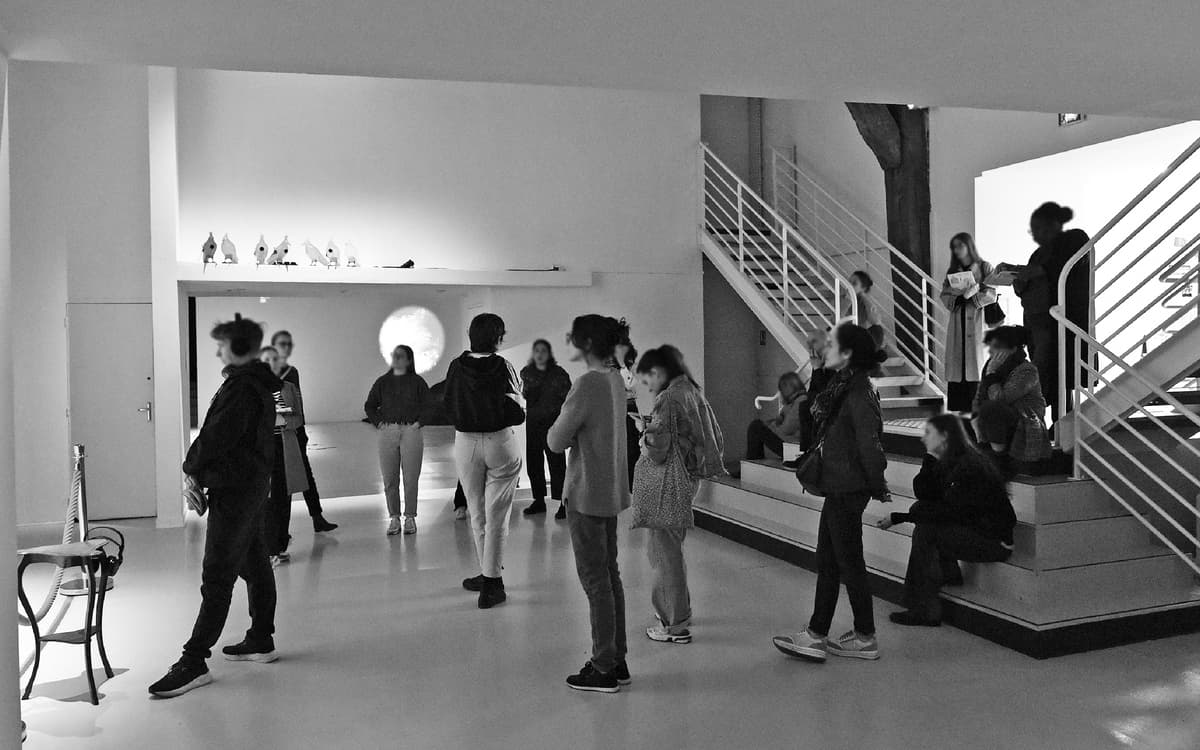 TaxiTram - Balade en autocar du réseau TRAM