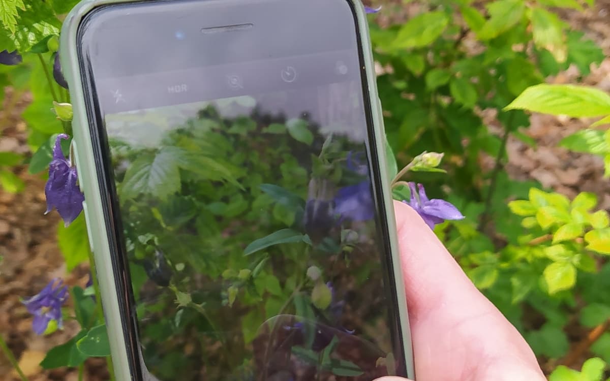 Mission iNaturalist : rallye photo & défi biodiversité