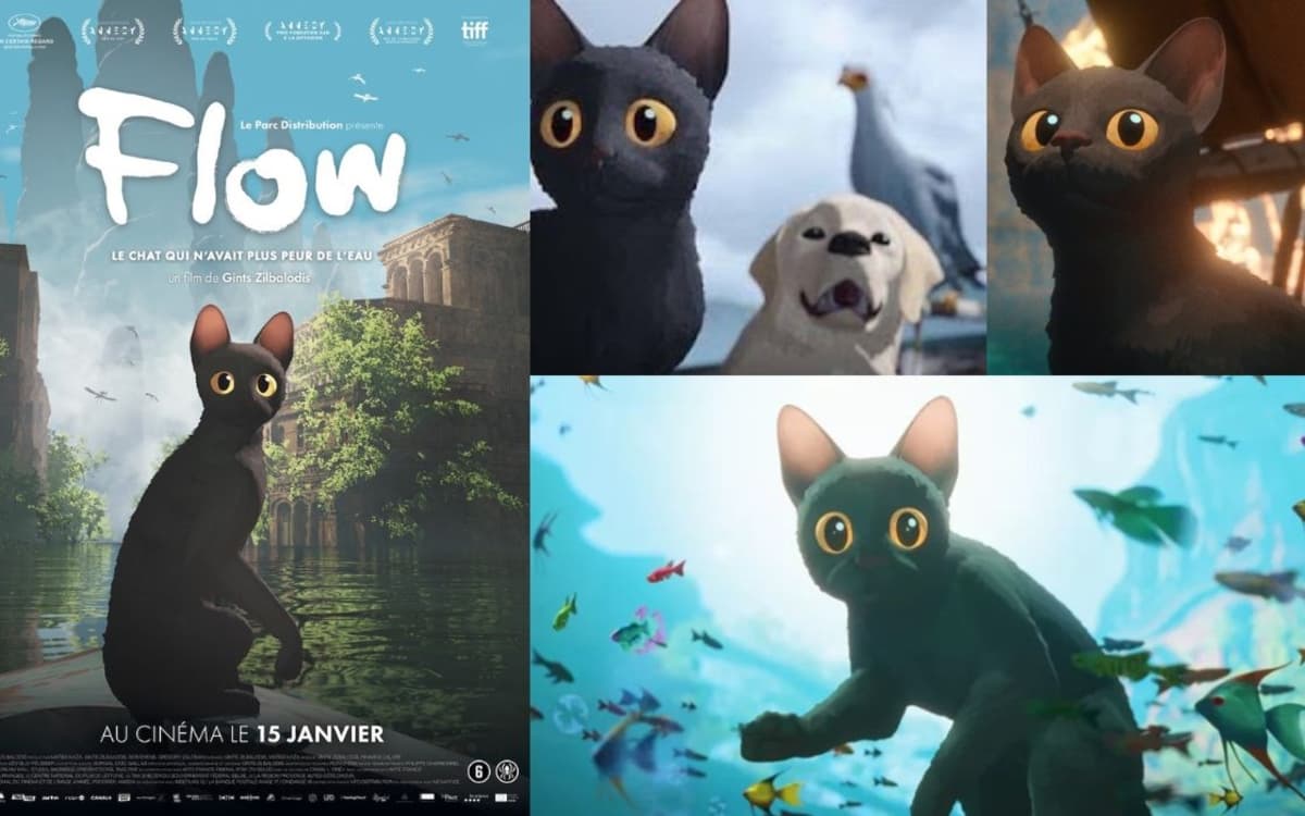 Projection du film d'animation : Flow, le chat qui n'avait plus peur de l'eau