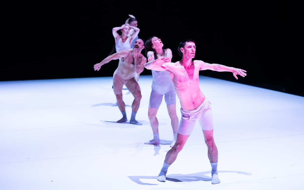 « Les Jolies Choses » de Catherine Gaudet au Festival Jogging !