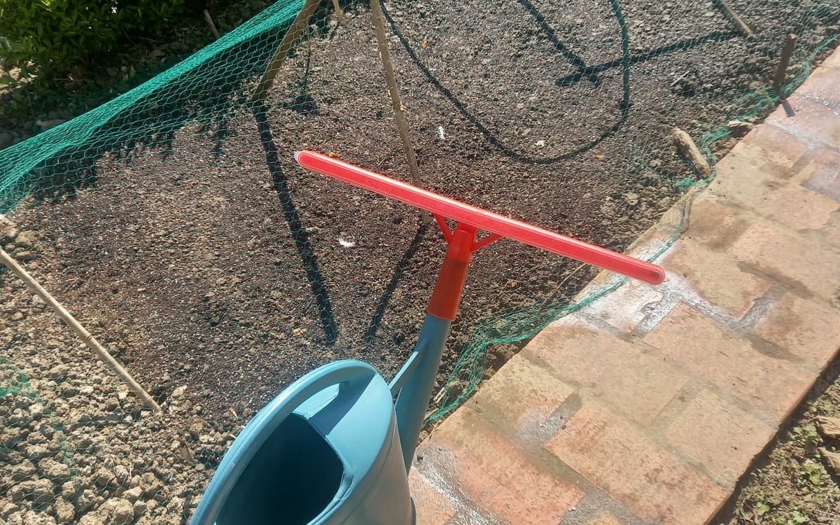 Apprenez à reconnaitre des plantes spontanées et semez des graines locales !