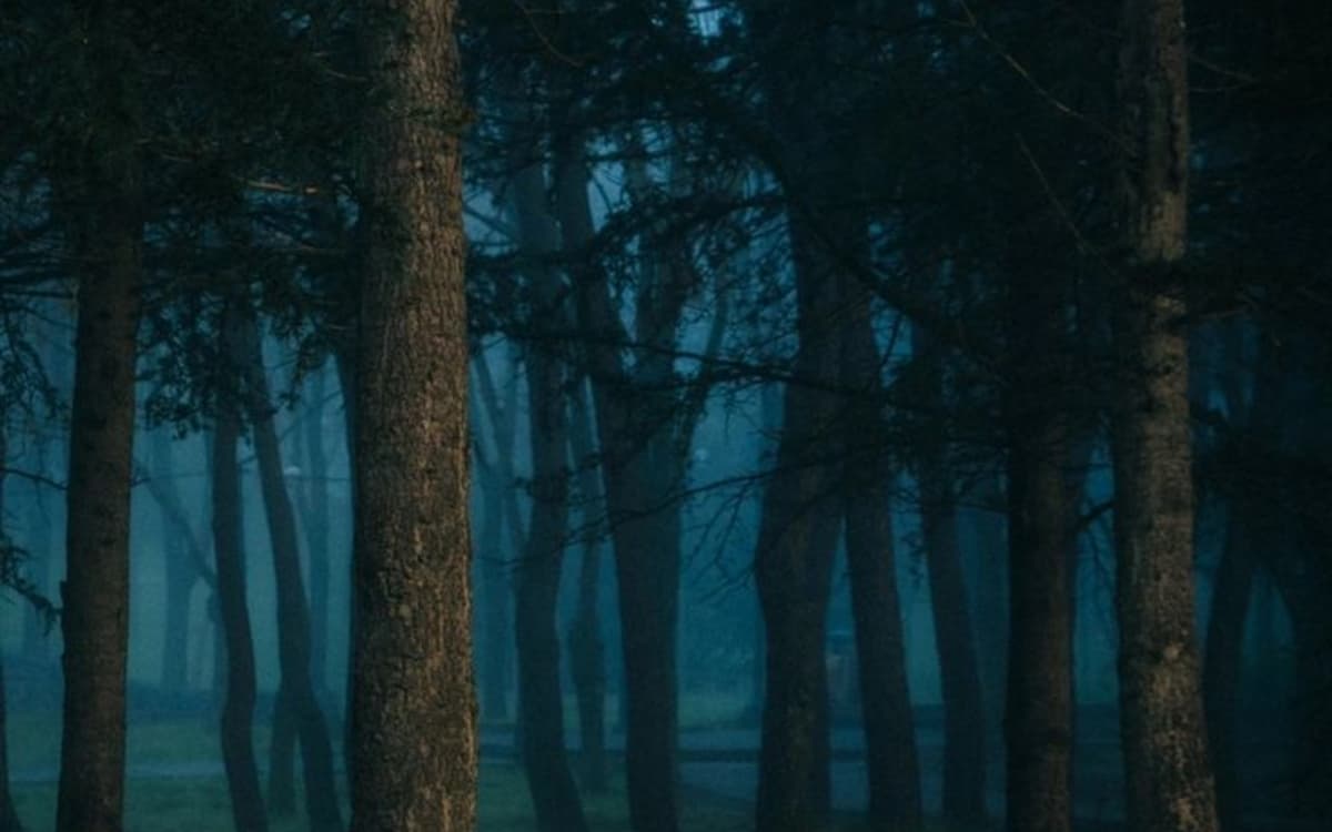 Pièce de théâtre : ADN de Dennis Kelly, mis en scène par Jean-Philippe Brayé