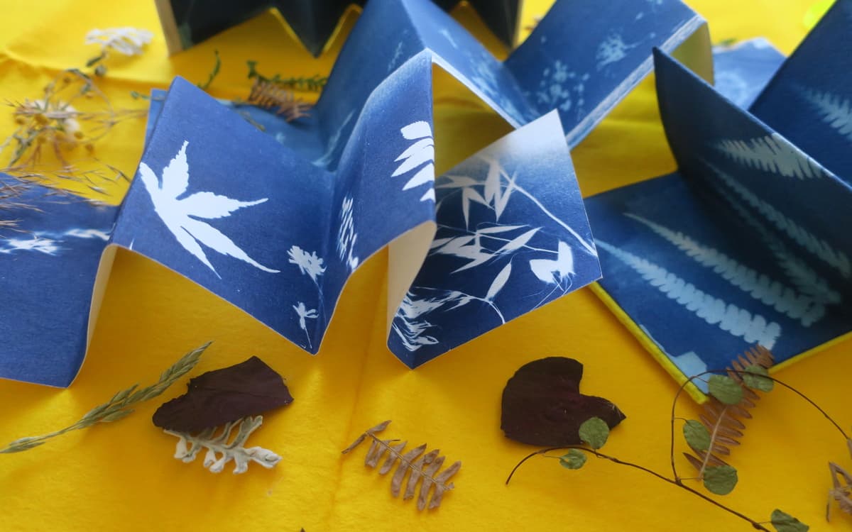 Atelier haïkus et cyanotypes