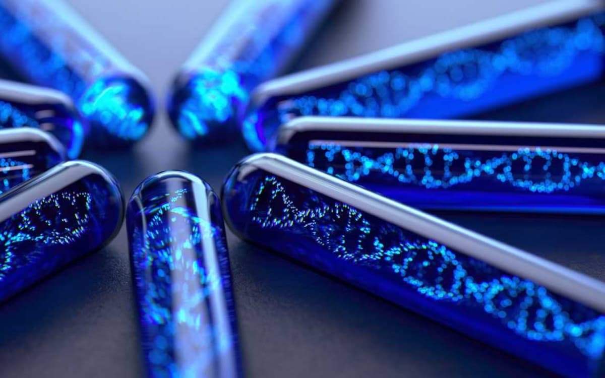 Kiosques en Fête 2026 : Plongez au cœur de l’ADN !