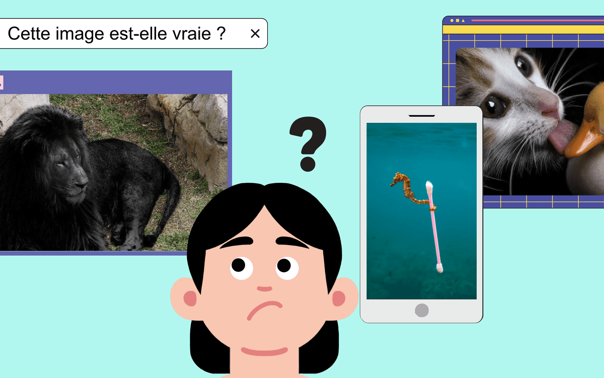 Atelier numérique : discerner le vrai du faux sur internet