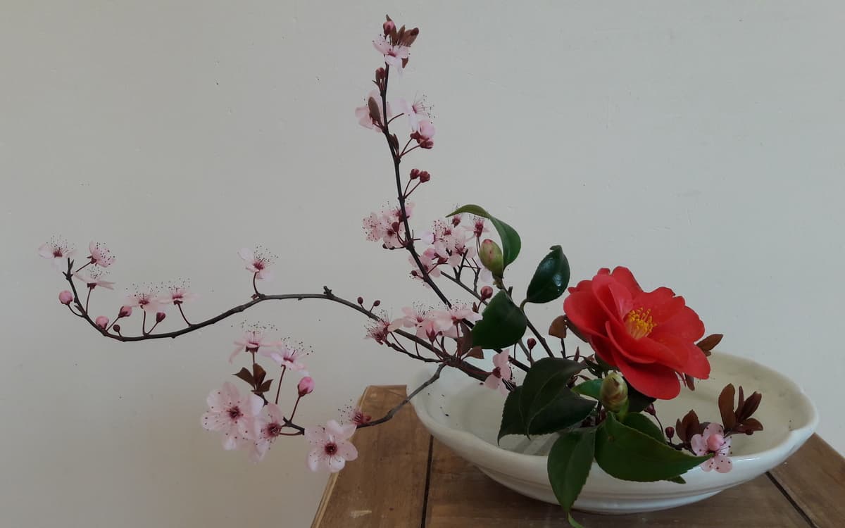 Compose un mini ikebana