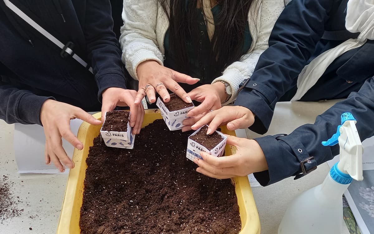 Programme des ateliers d’initiation au jardinage pédagogique 2026 « Le jardinage, un outil pédagogique »