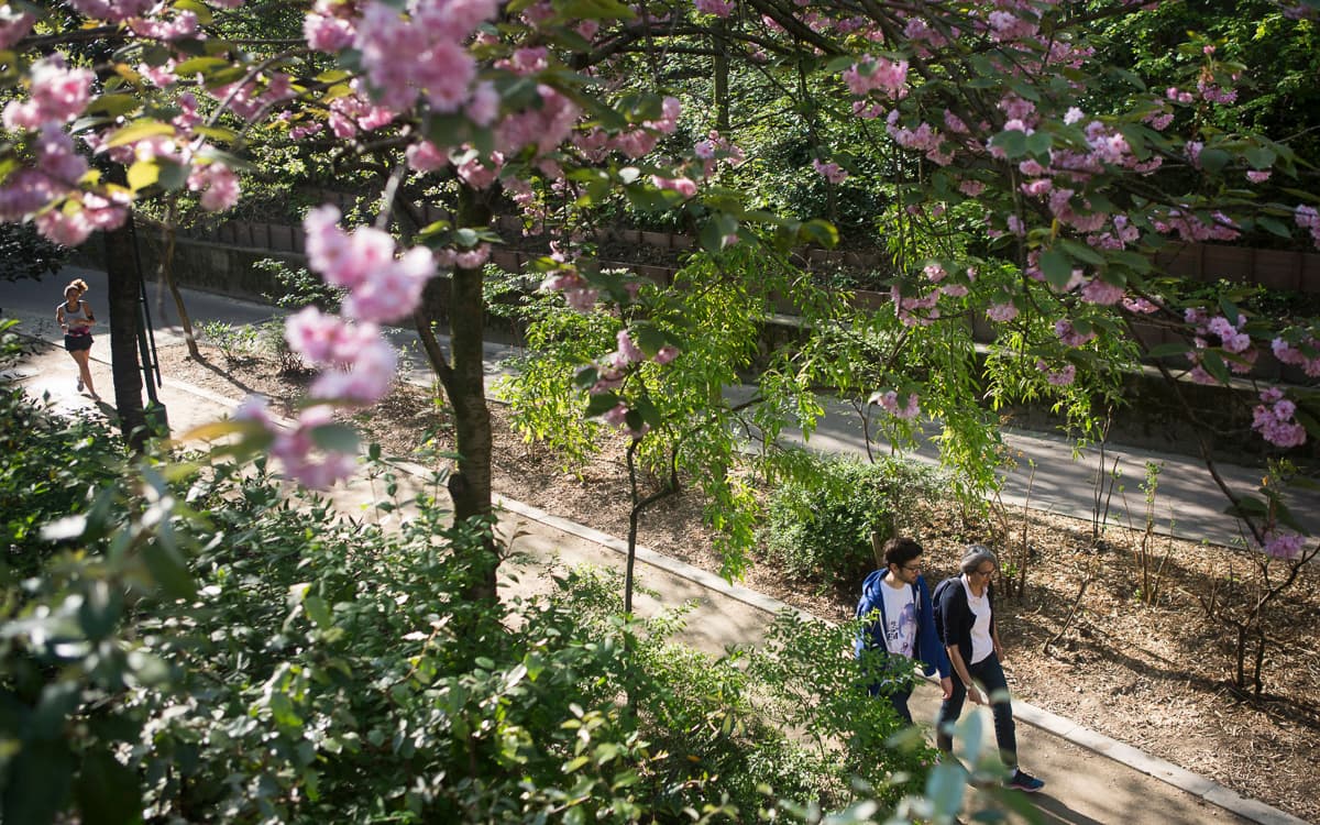 Balade conviviale : les couloirs verts du 12e