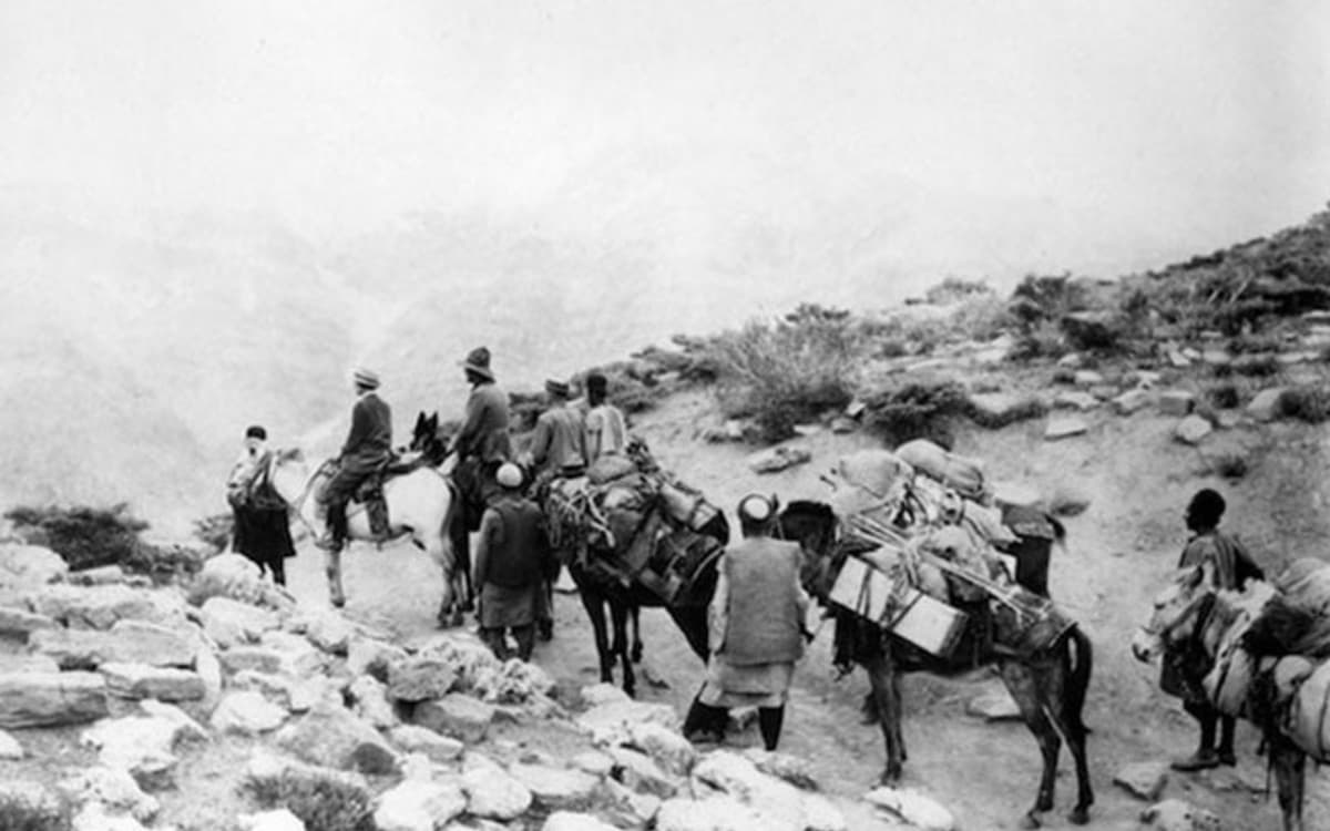 Pastoralismes en Iran et au Moyen-Orient : bergers en itinérance