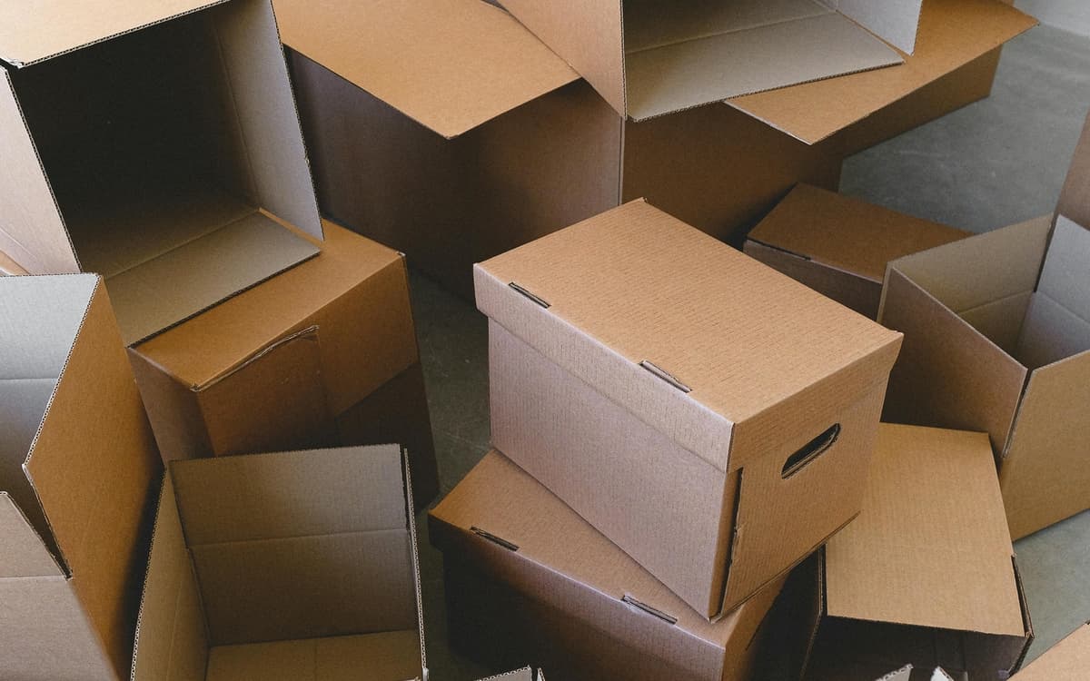 Stage d'architecture en carton