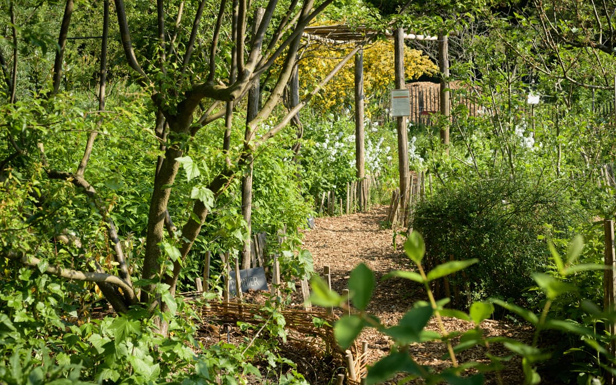 Chantier permaculture