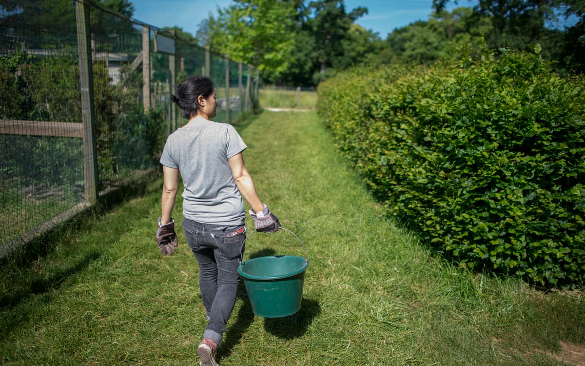 Soigneur d'un jour à la Ferme de Paris