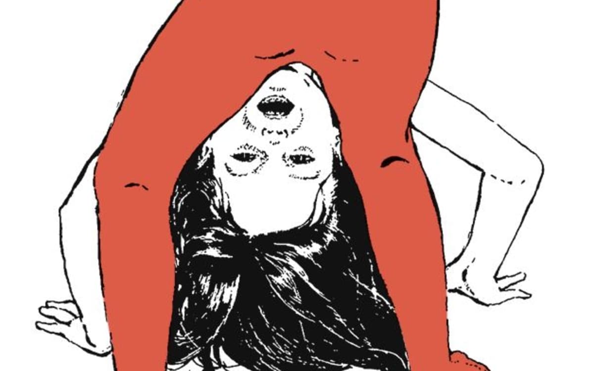 « Histoire de Julie qui avait une ombre de garçon », les 50 ans d’un album pionnier du « genre »