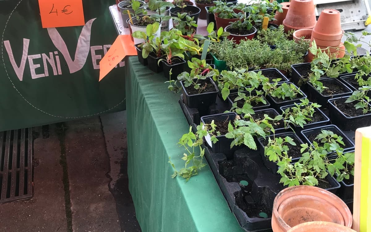 Marché aux plantes local et festif de la Brasserie des Regards